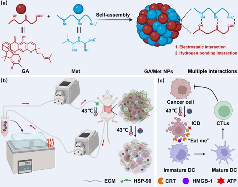 无载体多功能纳米药物用于腹腔热灌注化疗