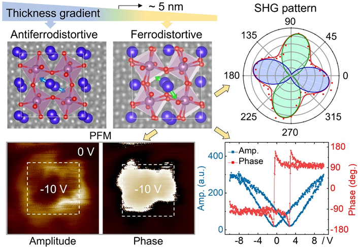 逆尺寸效应诱导新型低维铁电材料研究进展