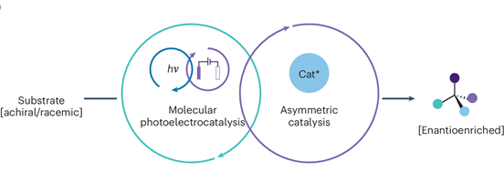 光电不对称催化(PEAC)